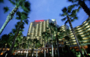hotelNightPalm-small picture